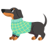 Pet Fashion (2)